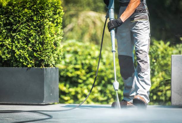 Best Roof Washing  in Eagle Butte, SD