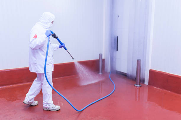 Best Sidewalk and Walkway Cleaning  in Eagle Butte, SD